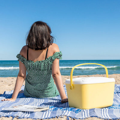 Nevera Portátil Rígida Lilty – 15 L